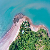 Africa Aquatics Lance une Coupe Continentale Révolutionnaire de Natation en Eau Libre avec un Événement Inaugural en Guinée